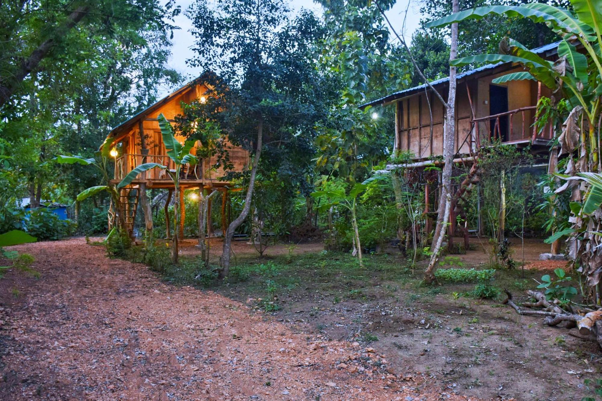 Akash Treehouse Apartment Sigiriya Exterior photo